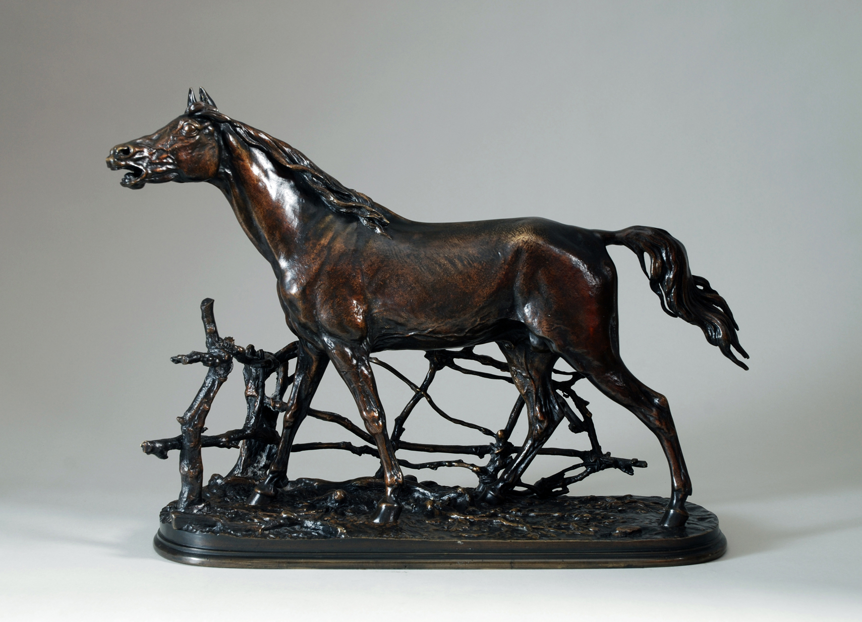 DJINN  étalon barbe (1846)
or " Cheval à la barrière" (Salon de 1849 )
